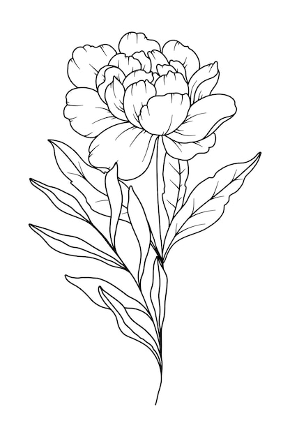 Peony Line Drawing Black and white Floral Bouquets Flower Coloring Page Floral Line Art Fine Line Peony illustration Hand Drawn flowers Botanical Coloring Wedding invitation flowers