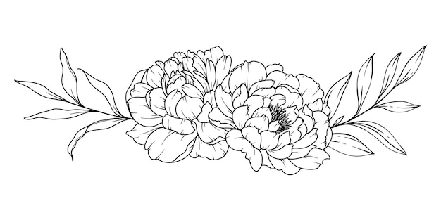 Vettore disegno in linea di peonia bouquet di fiori in bianco e nero pagina da colorare flower line art