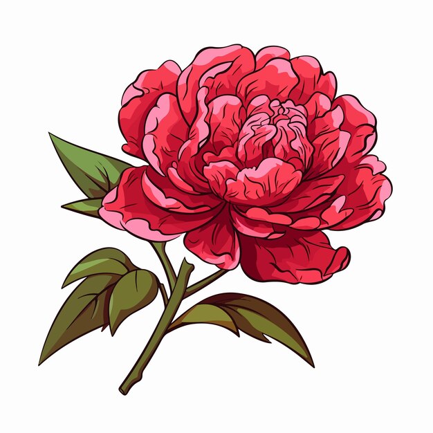 Peony platte vector illustratie Peony cartoon hand tekenen geïsoleerde vector illustratie