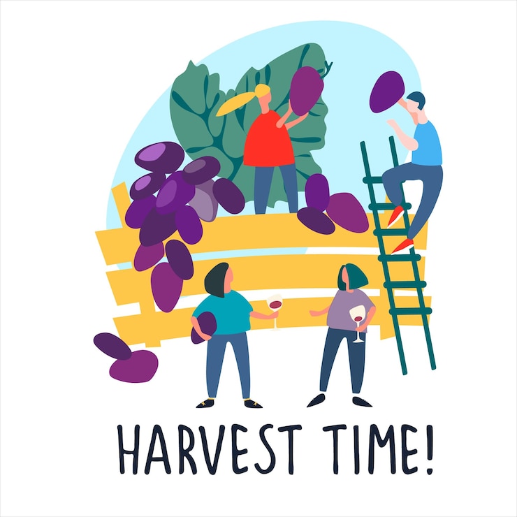 Vector people picking grapes harvest time quote harvesting concept agritourism pickyourown concept fresh fruit concept hand drawn vector illustration in abstract flat style