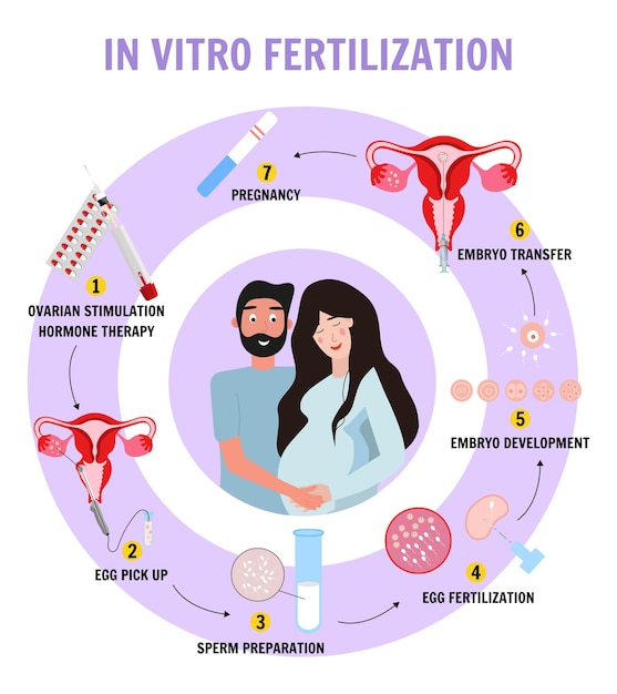 Люди планируют концепцию экстракорпорального оплодотворения ребенка в векторной иллюстрации
