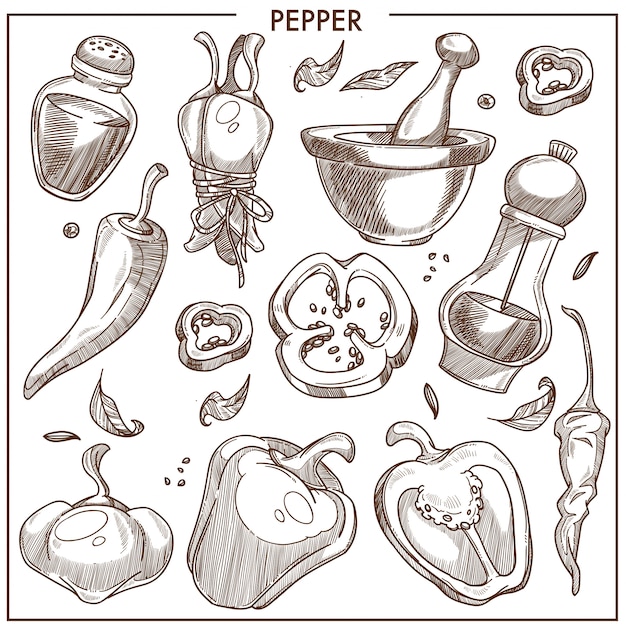 Peper van alle soorten geïsoleerde monochrome illustraties set