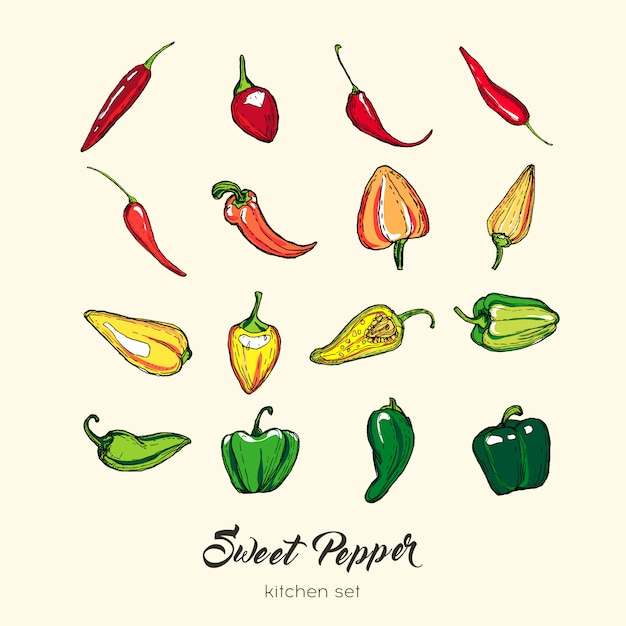 Pepper isolate set. hand drawn illustration sweet paprika capsicum chili red hot pepper