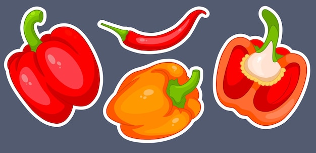 Pepper set. fresh bell peppers and hot peppers. in cartoon style stickers. vector illustration for design and decoration.