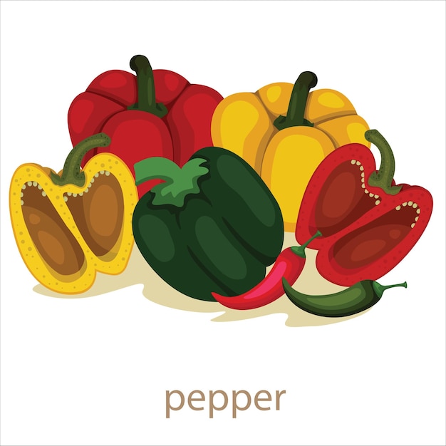 pepper vegetable isolated