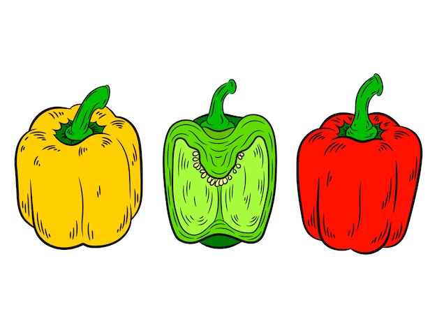 Vector pepper vintage red, green, yellow color.