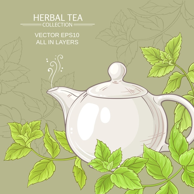 Vector peppermint tea in teapot