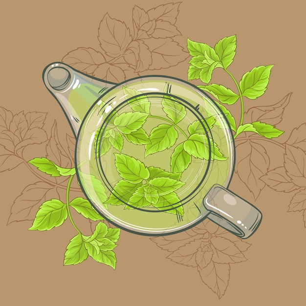 Vector peppermint tea in teapot