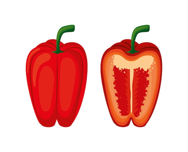 Peppers drawing isolated over white background. vector illustration
