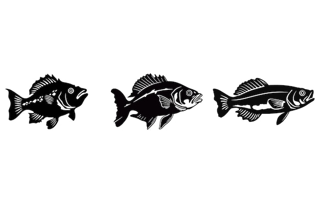 Perch illustratie van zoetwaterPerch Fish Icon illustratie