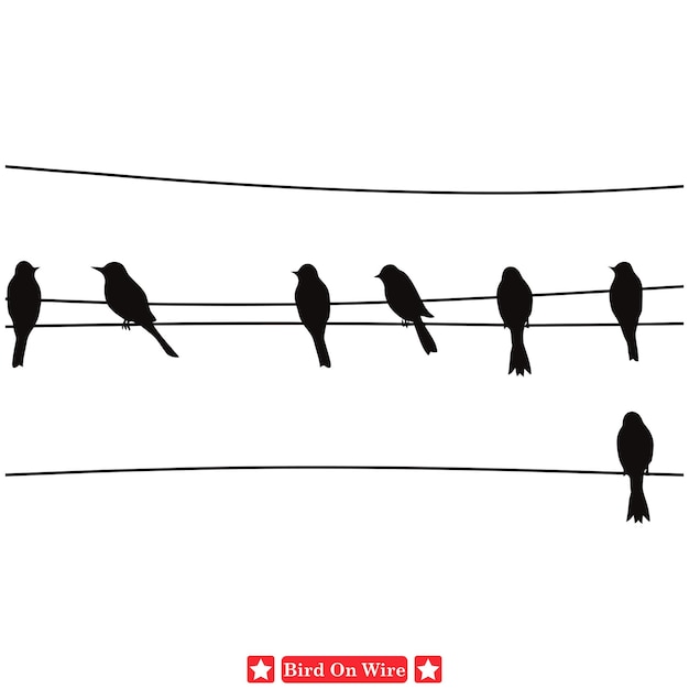 Vector perching pretties adorable birds on wire silhouette set