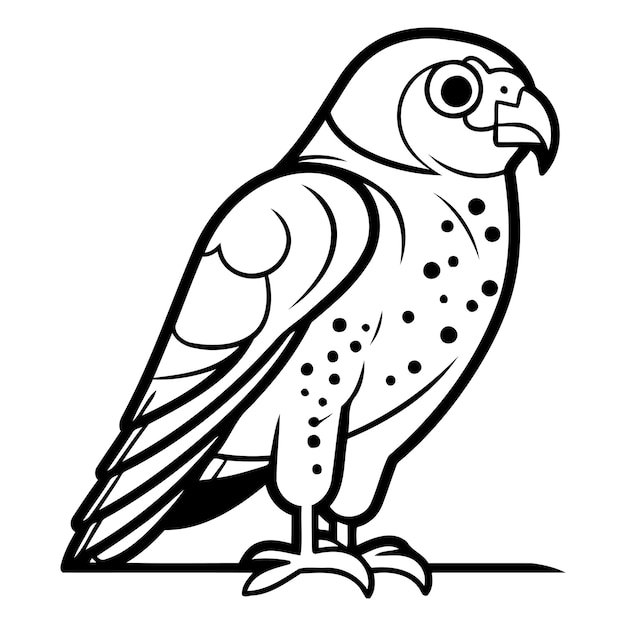 Peregrine falcon isolated on white background Vector illustration