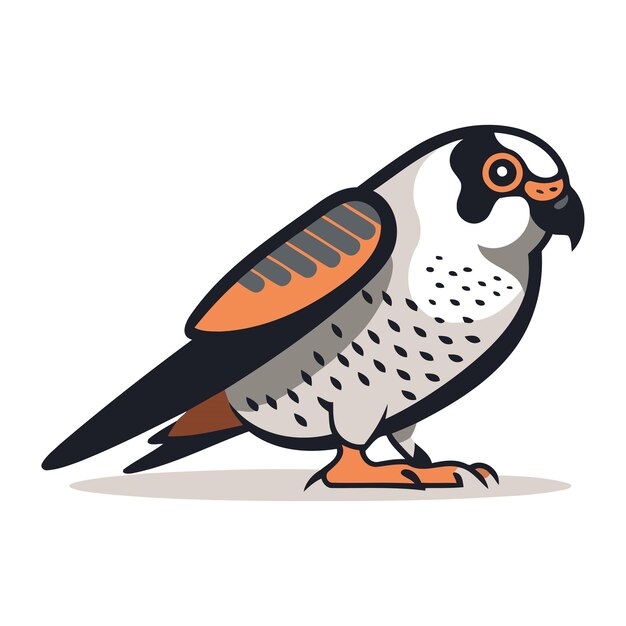 Vector peregrine falcon kestrel vector illustration