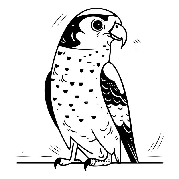 Vector peregrine falcon vector illustration in cartoon style