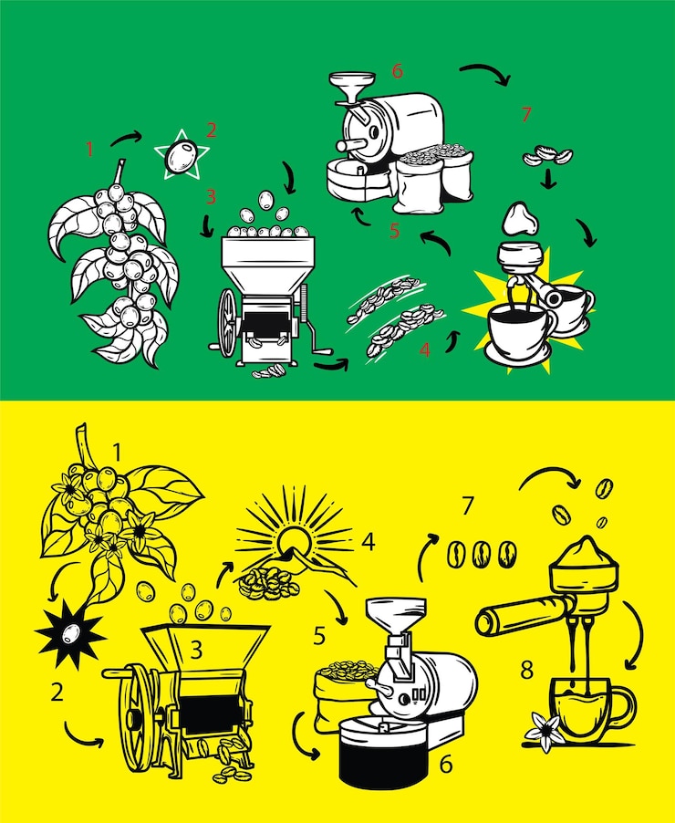 Vector the perfect cup of coffee process