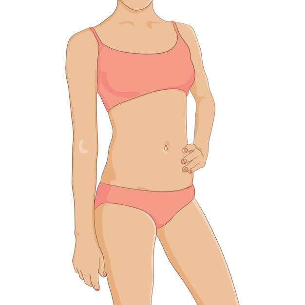 Woman body front view vector illustration. Isolated outline line contour  template girl without clothes. Anatomy of healthy female body shapes.  Female figure vector human body in linear style. 27818131 Vector Art at