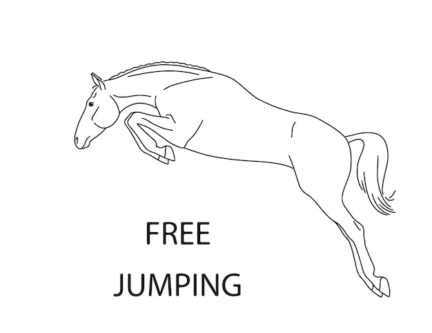 Perfect jump of a sport horse