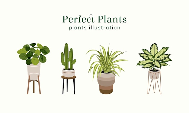 Perfect plants illustration