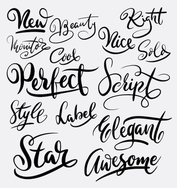 Vector perfect star and script handwriting calligraphy