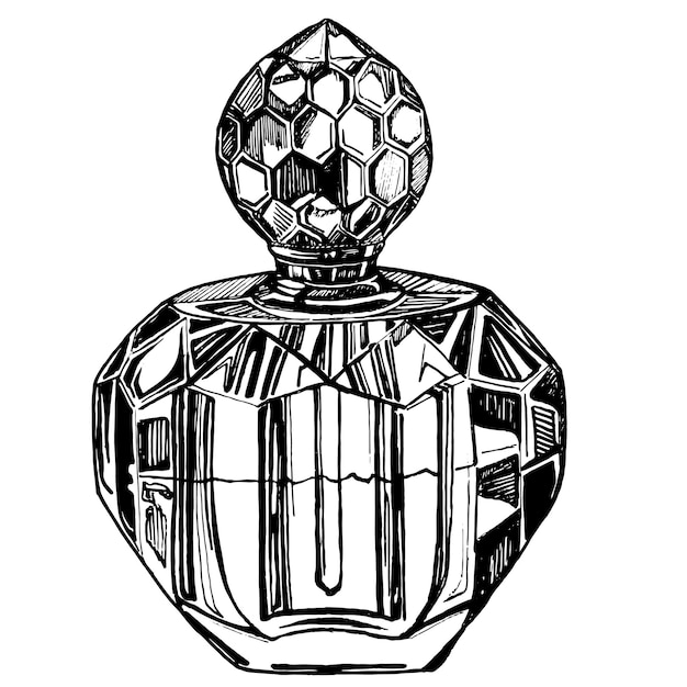 Perfume perfume bottle black and white hand drawn graphics vector