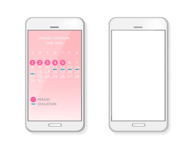 Vector period and ovulation calendar on smart phone screen