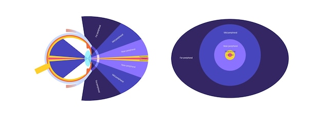 Vector peripheral vision poster