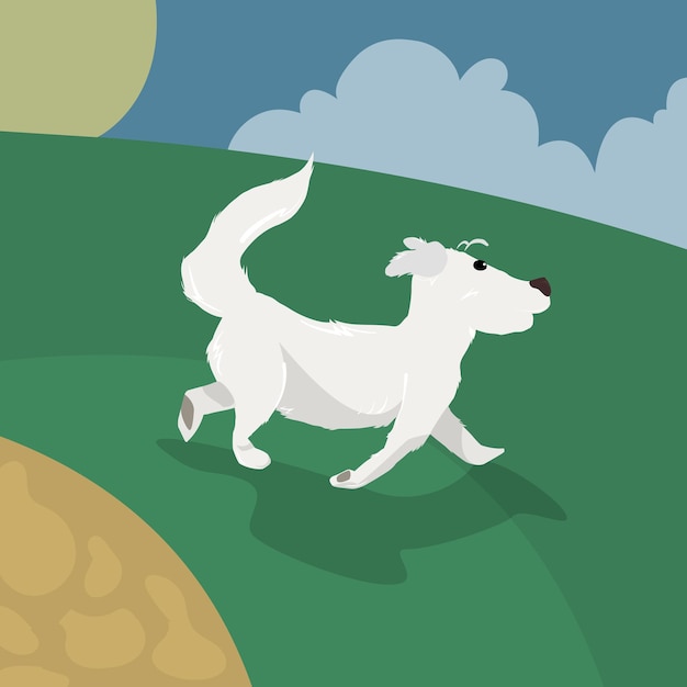 perro