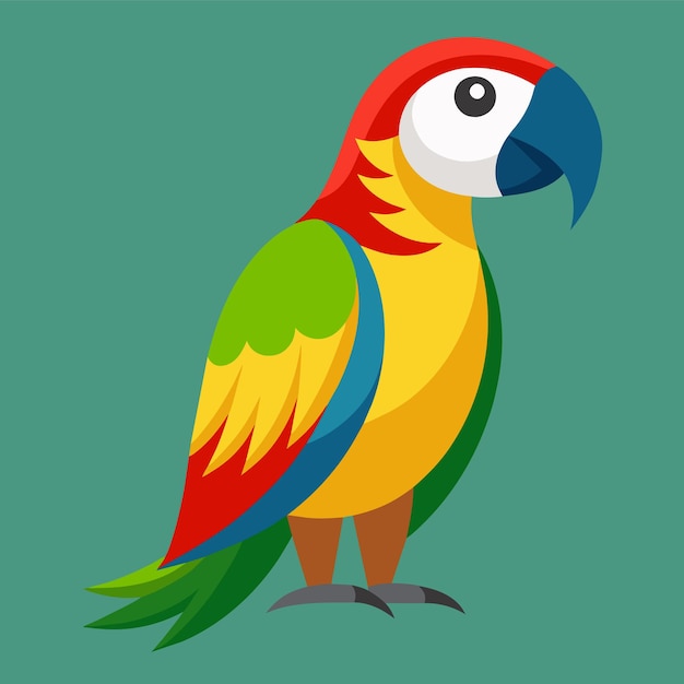 Vector perrot bird animal pet vector illustration cartoon pretty cute