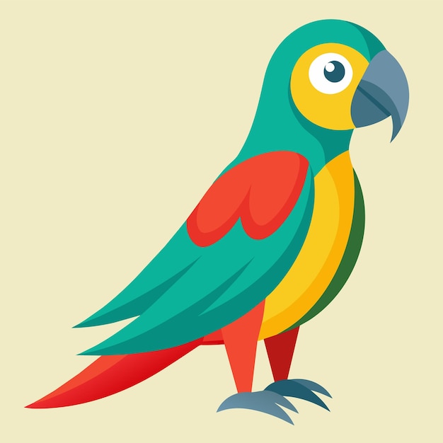 Vector perrot bird animal pet vector illustration cartoon pretty cute