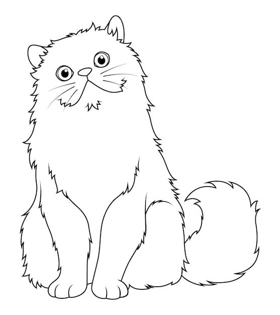 Persian Cat Cartoon Animal Illustration BW