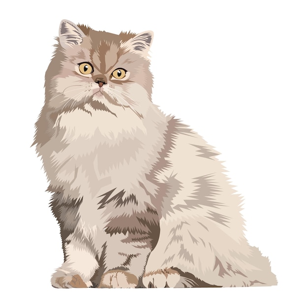 Vector persian long hair cat illustration