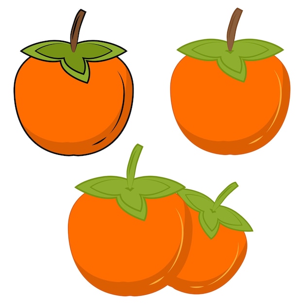 Icona di vettore di colore cachi. icona di frutta kaki arancione. simbolo di cachi. un semplice elemento di vettore piatto di illustrazione sharon, isolato su sfondo bianco. vettore