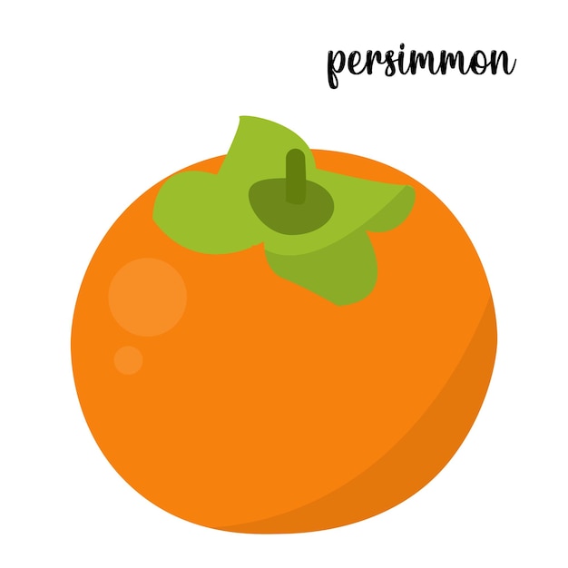 Vector persimmon fruit vector illustration