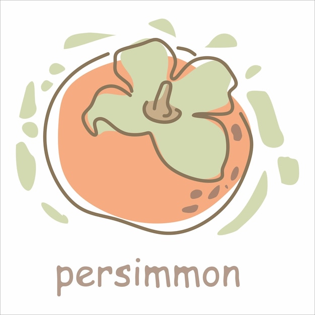 Persimmon met de hand getekende fruitillustratie