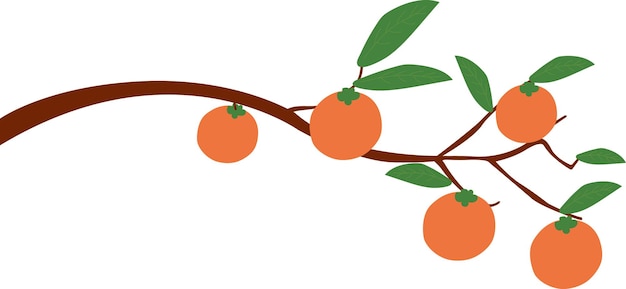 Vector persimmon tree