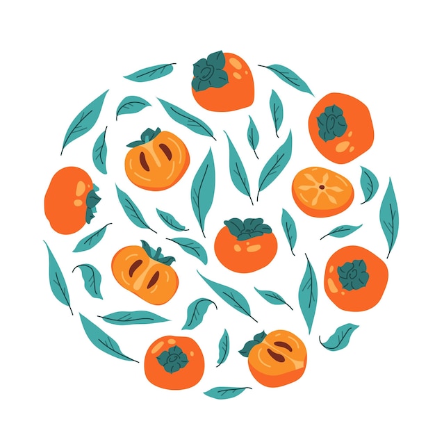 Vector persimmon with leaves fruit persimmon isolated decoration for korean thanksgiving day