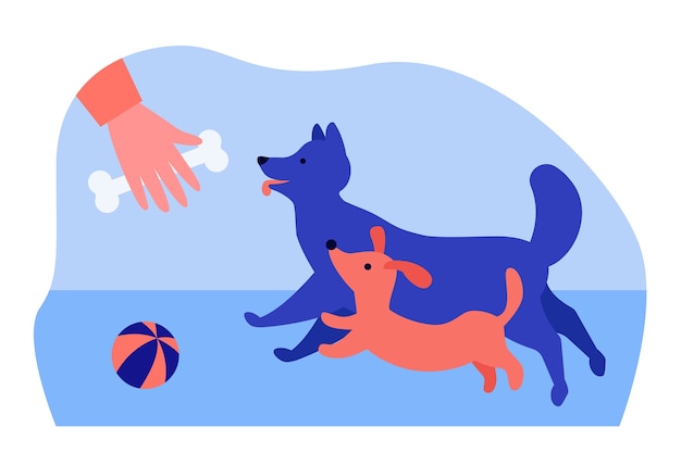 Vector person playing and training dogs outside in flat design