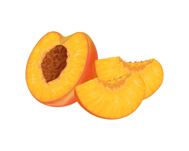 Perzik Afbeelding van een perzik Rijpe sappige perzik met een steen Perzik in de snede Rijp fruit Vegetarisch vitamineproduct Vectorillustratie