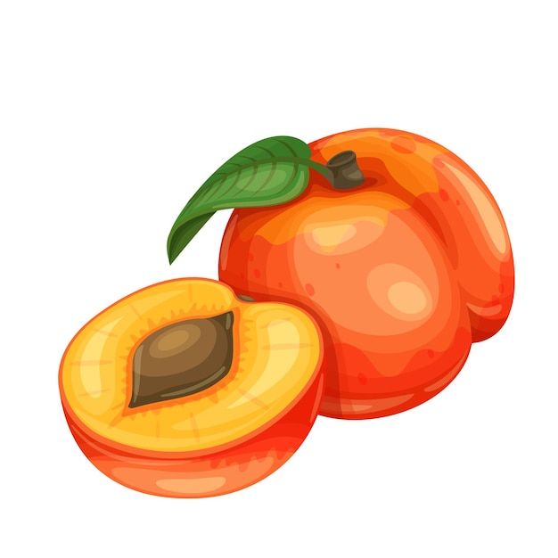 Vector perzik fruit