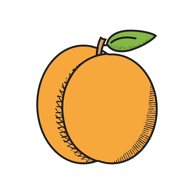 Perzik pictogram geïsoleerd op wit Perzik fruit Vector