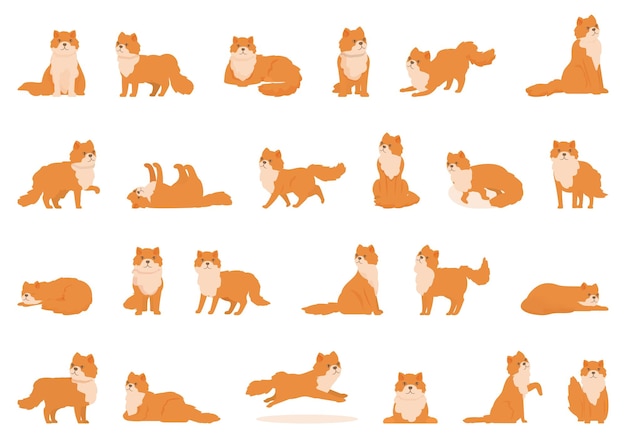 Perzische katten iconen set cartoon vector Dier schattig huisdier Huishoudelijk bont zoogdier