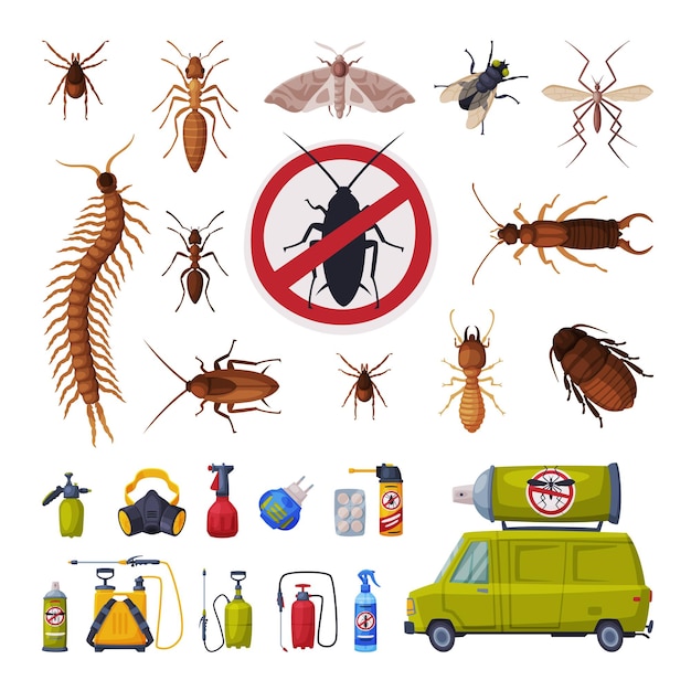 Vector pest control service set harmful insects exterminating and protecting equipment vector illustration