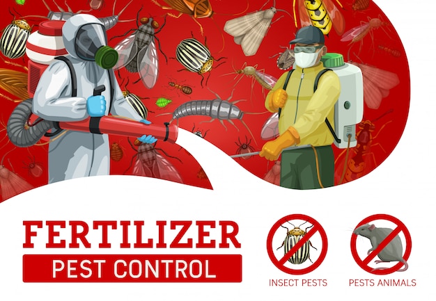 Pest control service, workers spraying insecticide