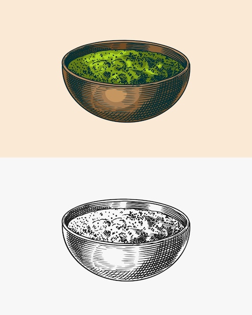 Pesto sauce basil soup in the bowl engraved hand drawn sketch