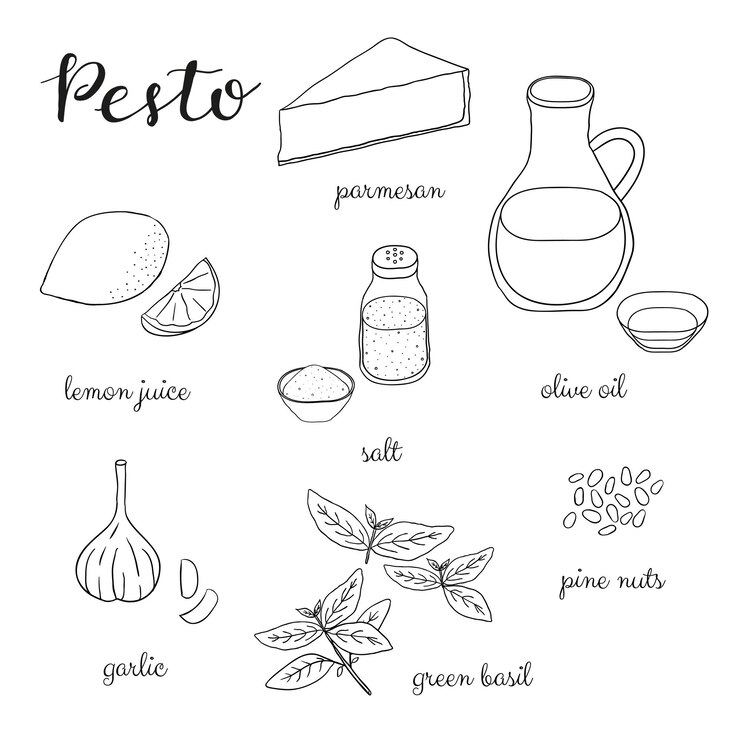 Vector pesto sauce outline ingredients