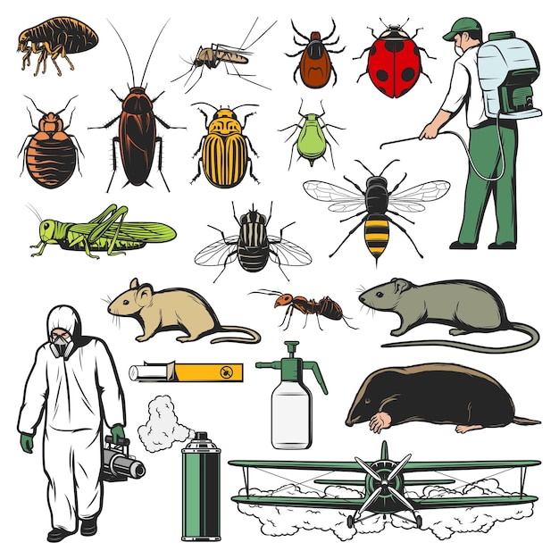 害虫昆虫や動物の消毒作業員