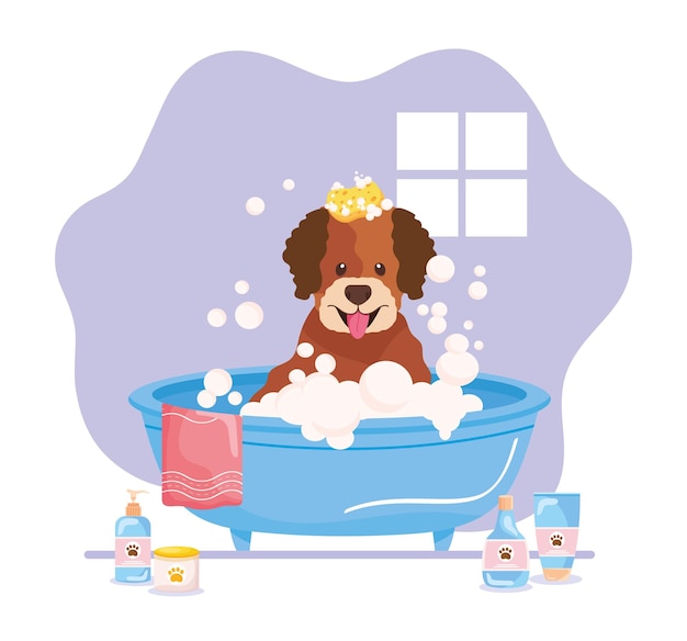 Pet in bathtub