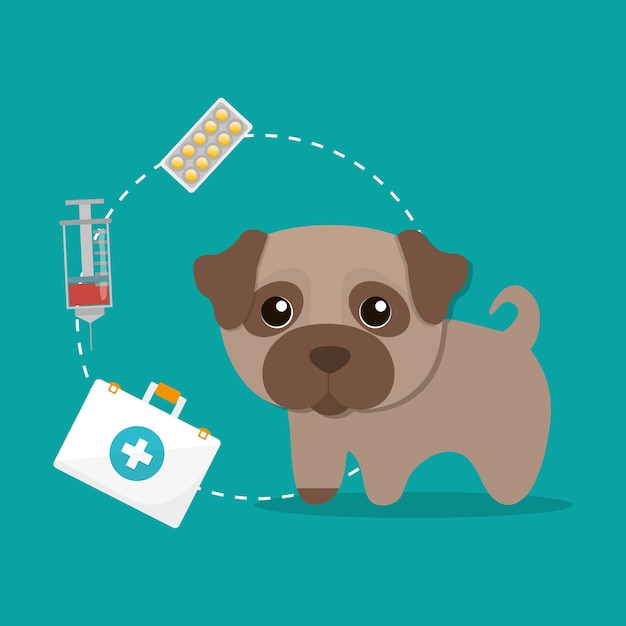 Vector pet care center service icons