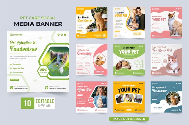 Set di modelli di social media per centri per la cura degli animali vettore con colori rosa e verde fascio di banner web per pubblicità veterinaria per animali con forme astratte collezione di modelli per negozio di forniture e assistenza sanitaria per animali domestici