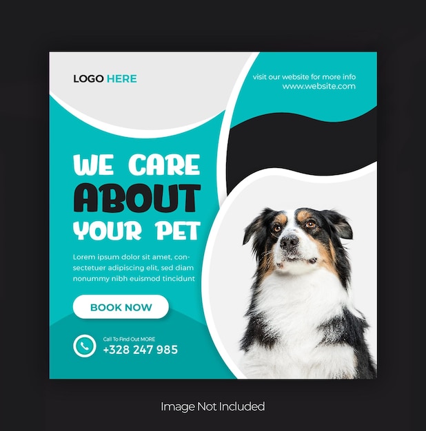pet care instagram post or social media post design
